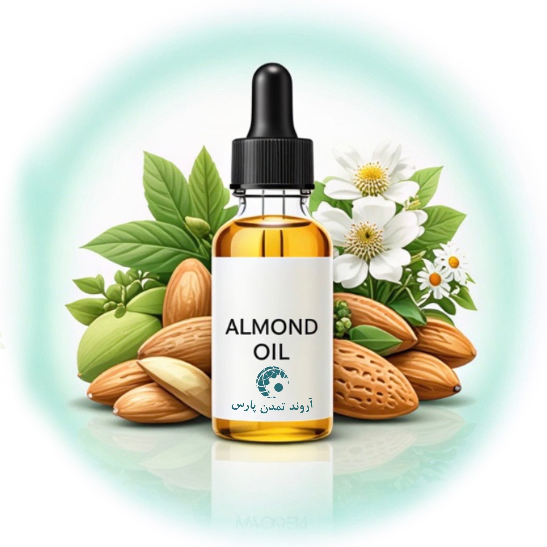 خرید روغن بادام تلخ | خرید، قیمت و کاربردها