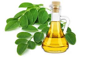 روغ مورینگا 